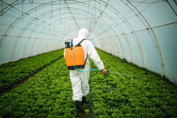 Best Best Pest Control Companies  in Fulton, TX