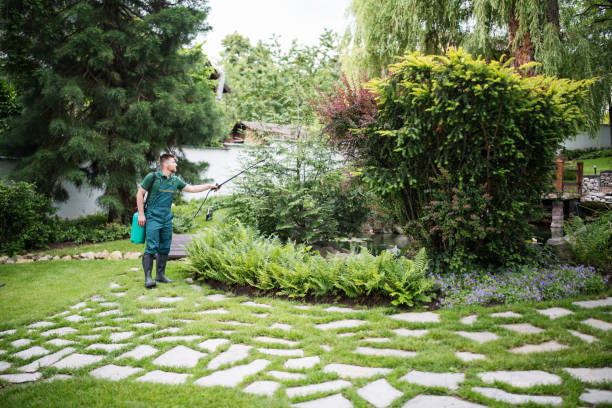 Best Pest Removal Services  in Fulton, TX