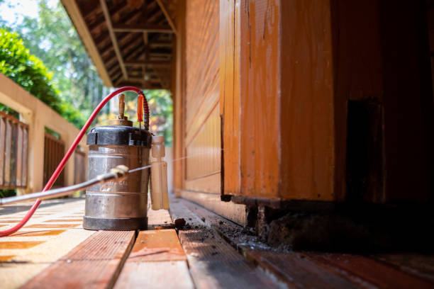 Best Pest Prevention Services  in Fulton, TX