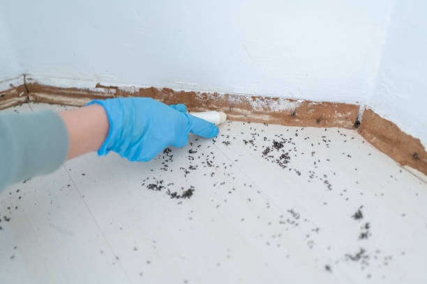 Best Residential Pest Control  in Fulton, TX